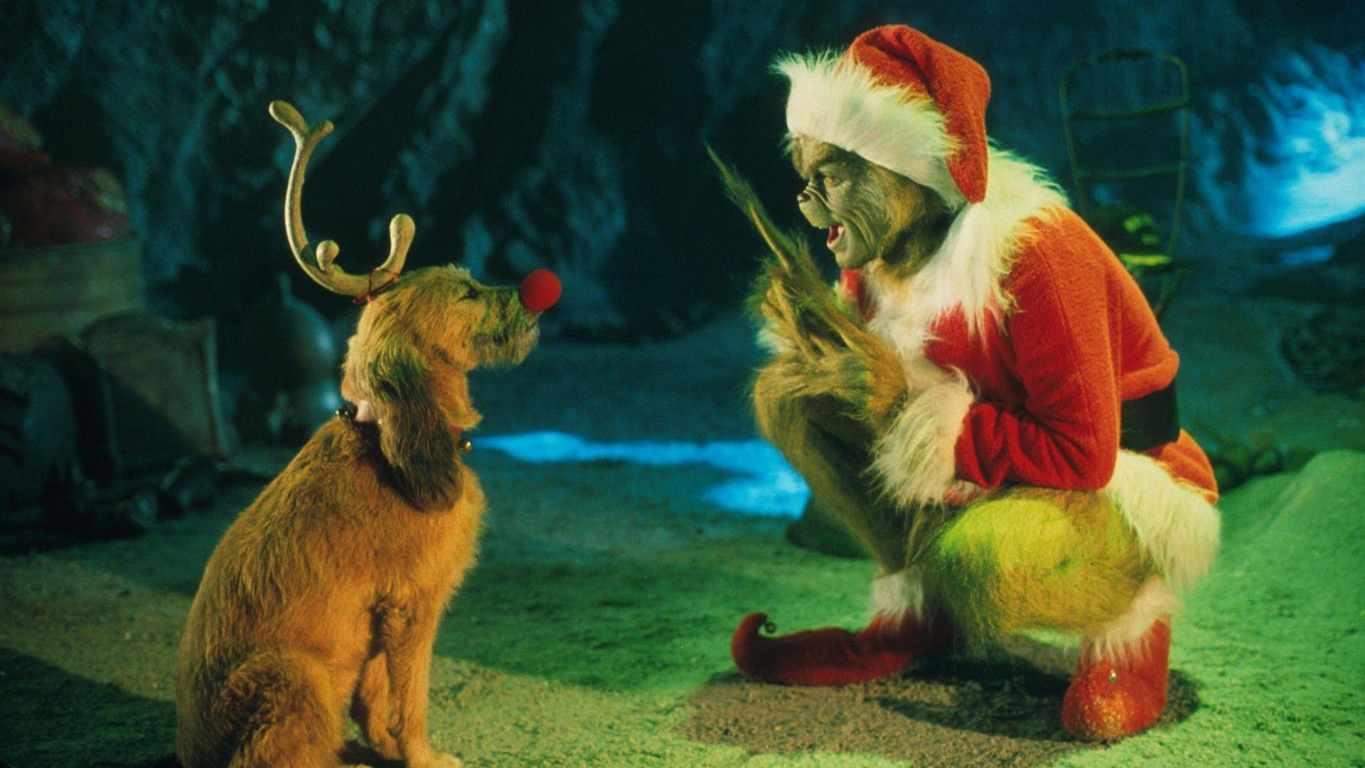 Max doesn't like the Grinch's plan